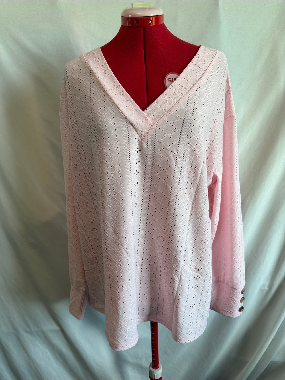 Light Pink Eyelet V-Neck Long Sleeve Top